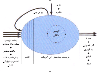 شکل3- جریان های عمدۀ آب و مواد مغذی در سامانۀ دریاچۀ پارک جنگلی المپیک